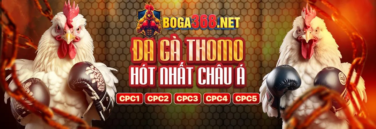 Hình ảnh liên hệ Win2026VN