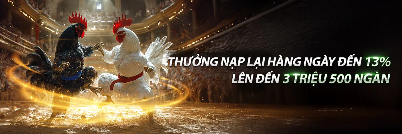 Đấu trường đá gà trực tuyến sôi động